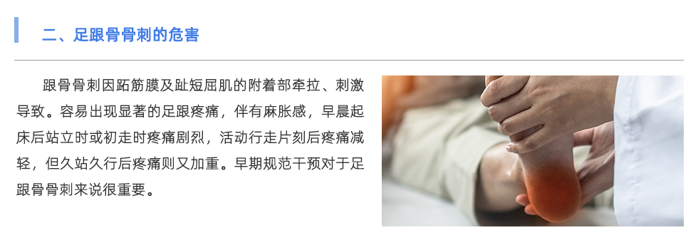 定制鞋垫