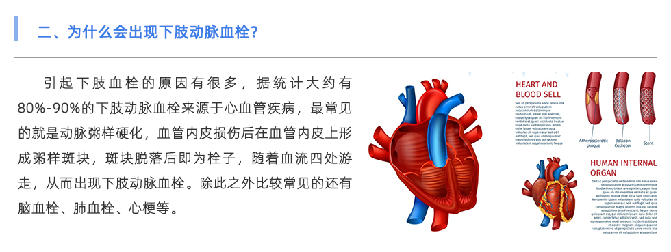 动脉硬化检测仪