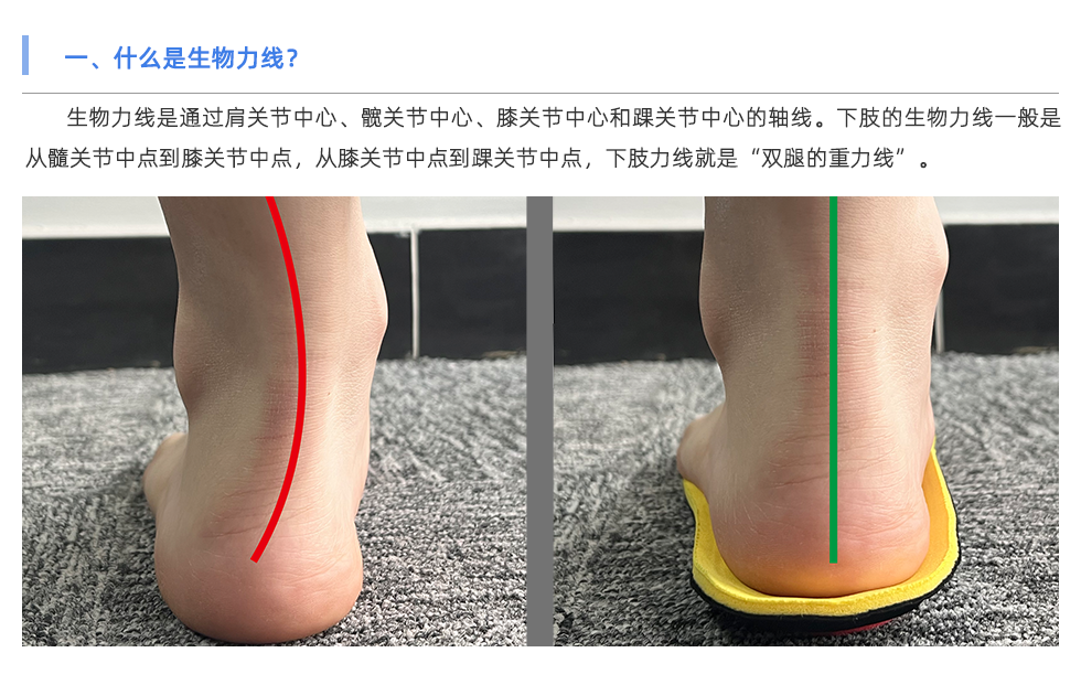 定制鞋垫