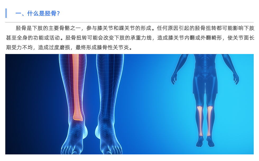 定制鞋垫