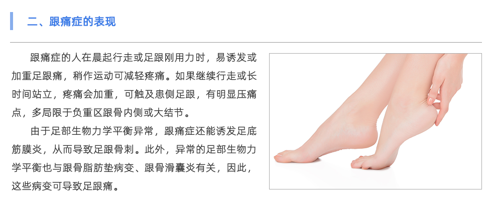 足底压力分析系统
