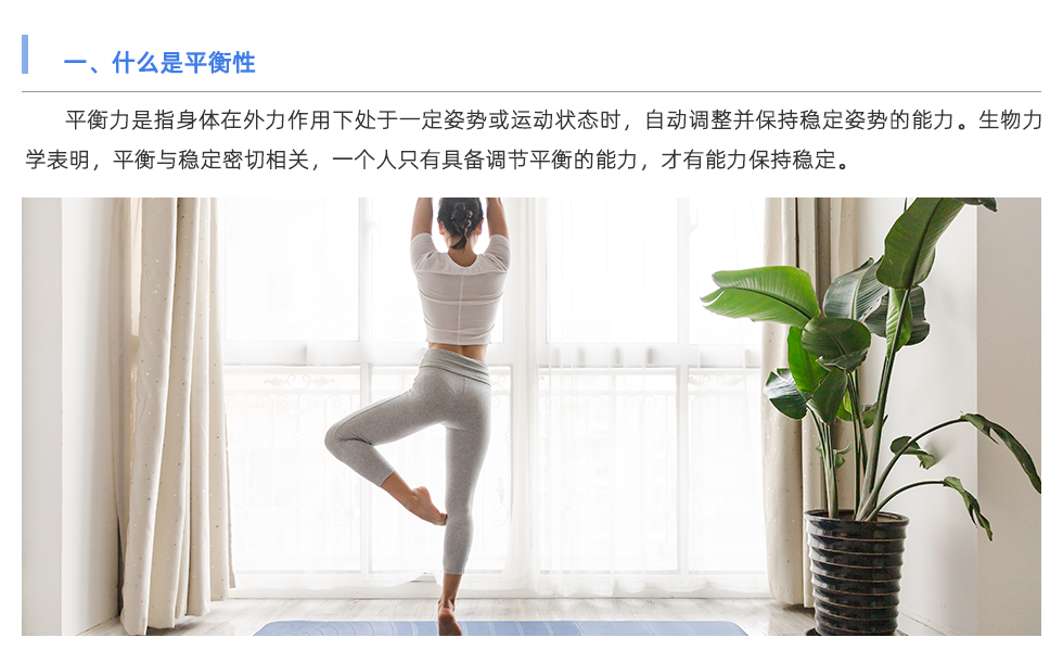 体能测试仪
