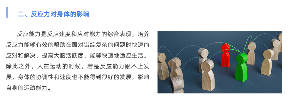 体能测试仪