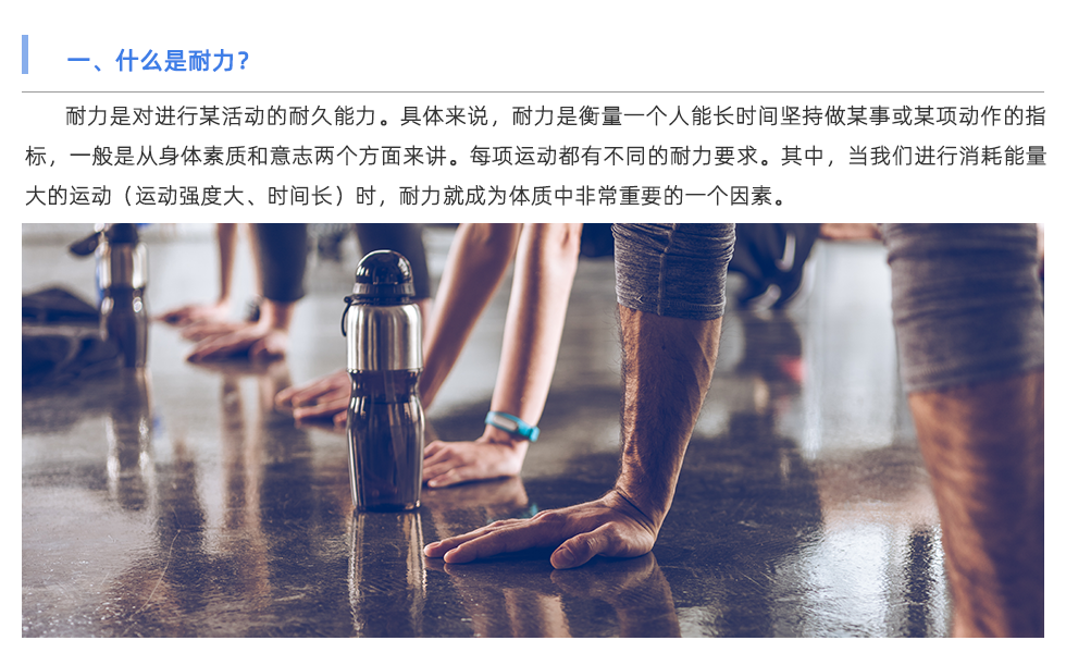 体能测试仪