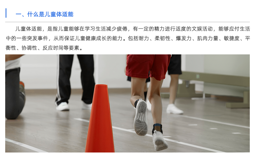 体能测试仪