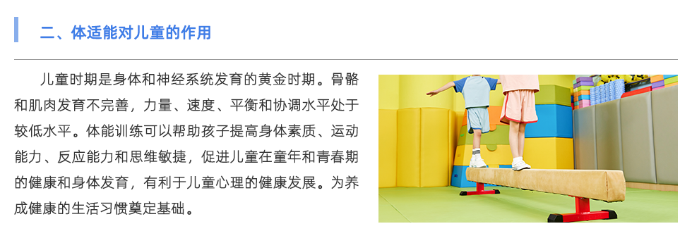 体能测试仪