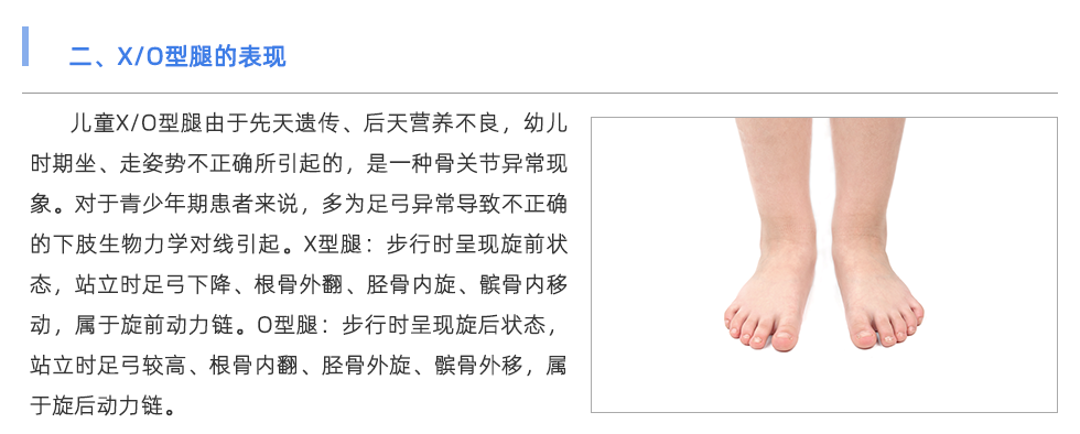 鞋垫机
