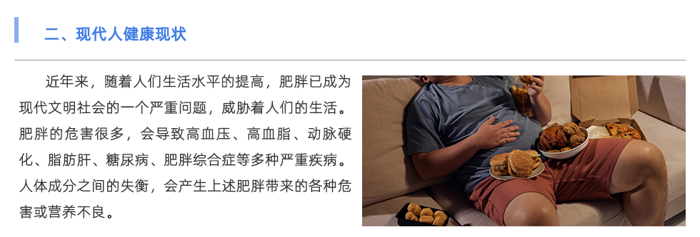 身体成分分析仪