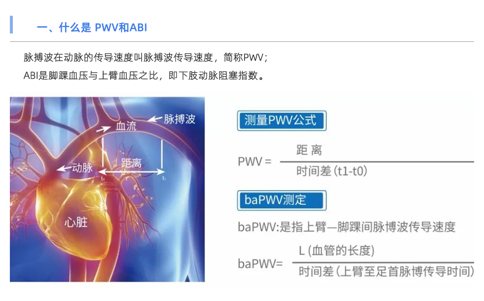 动脉硬化检测仪
