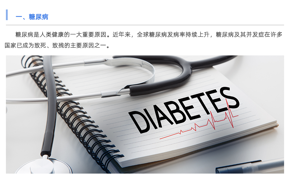 身体成分分析仪
