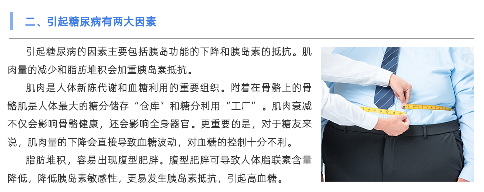 身体成分分析仪