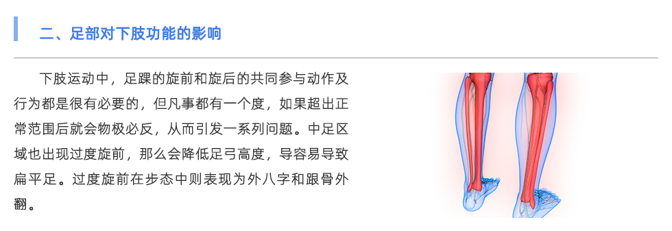 步态分析仪