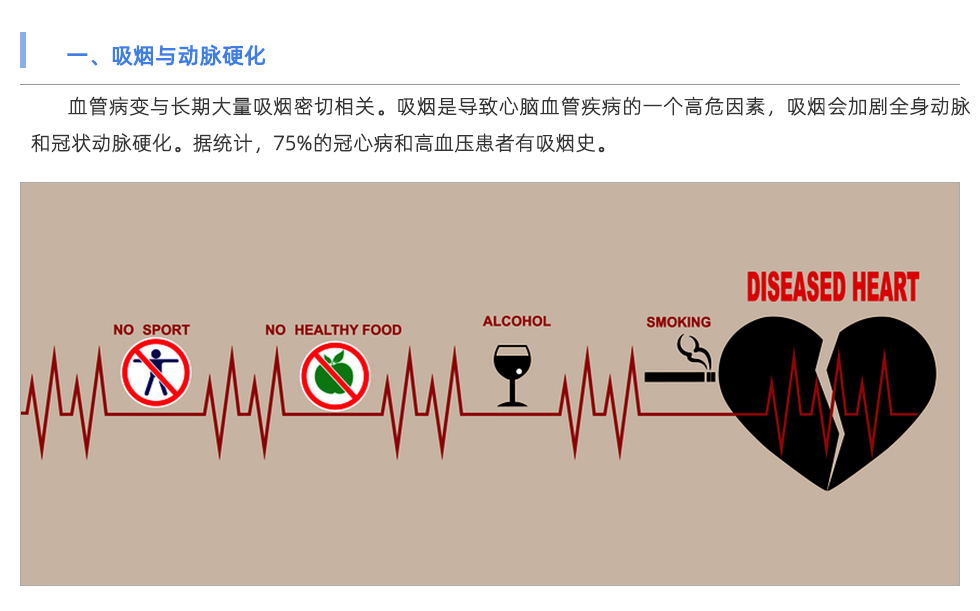 动脉硬化检测仪