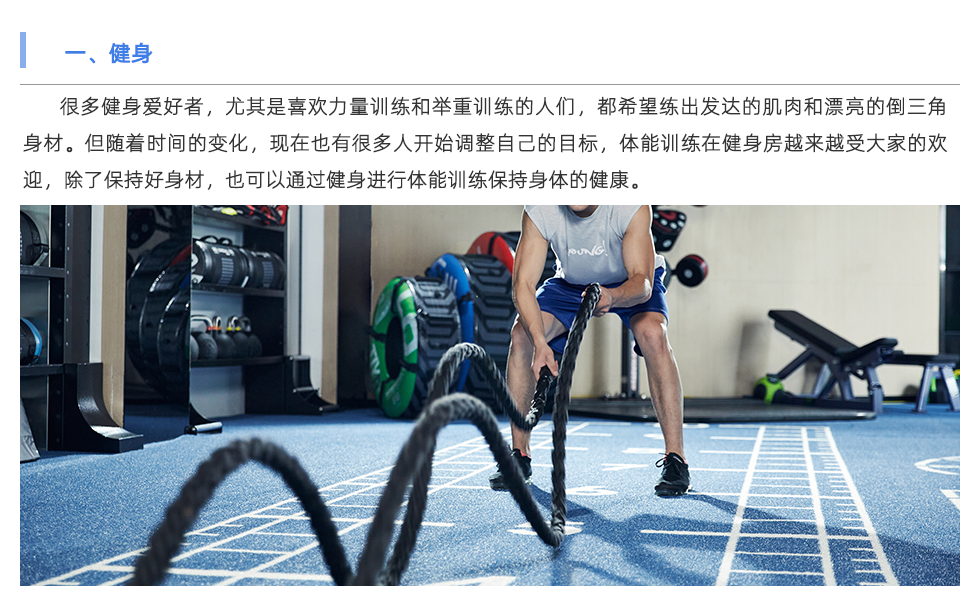 体能测试仪