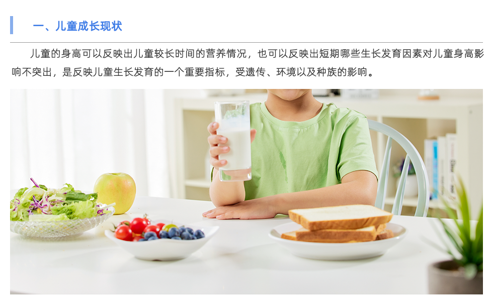 身体成分分析仪