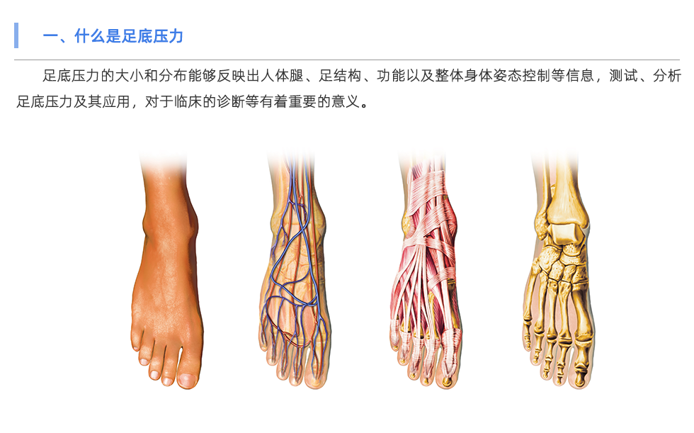 足底压力分析系统