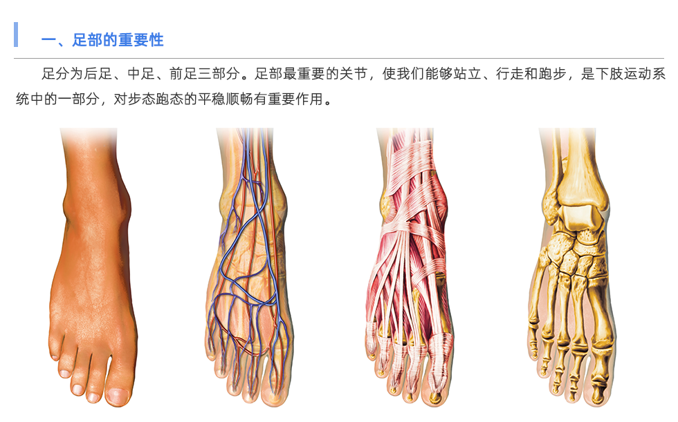 定制鞋垫