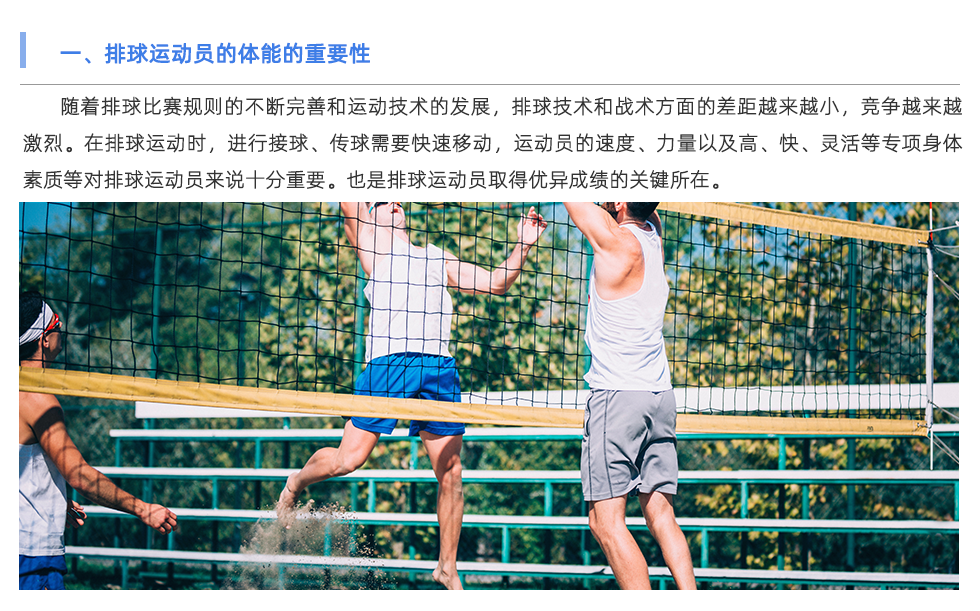 体适能测试仪