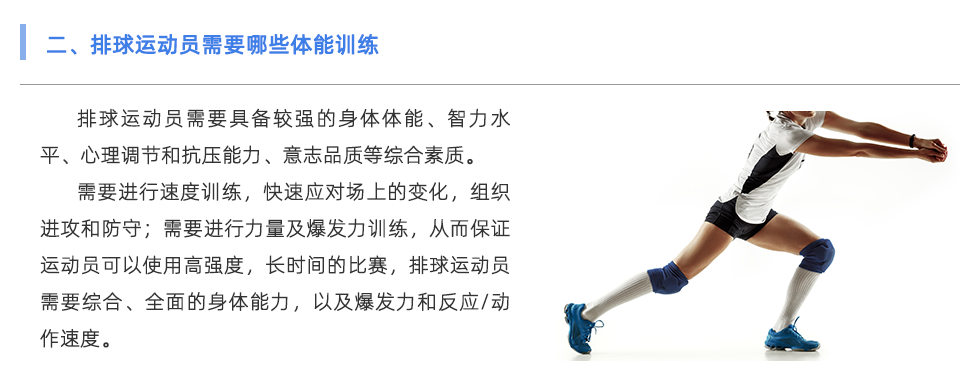 体适能测试仪
