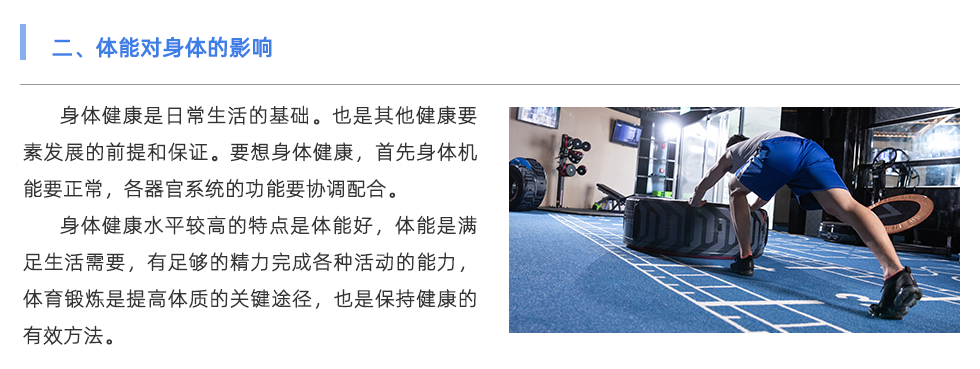 体能测试仪