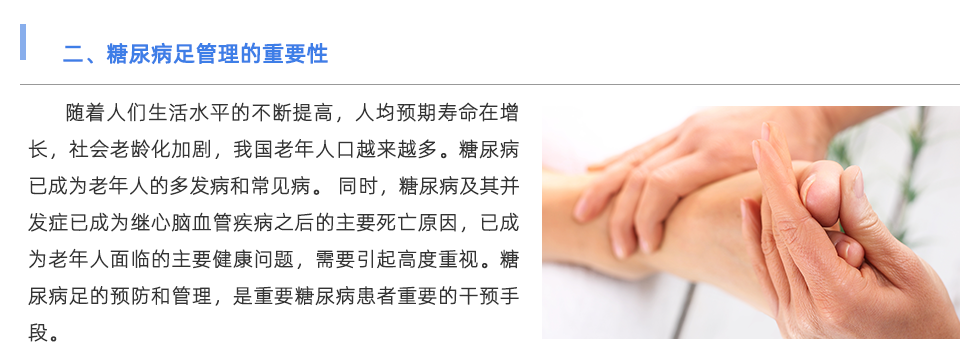 定制鞋垫