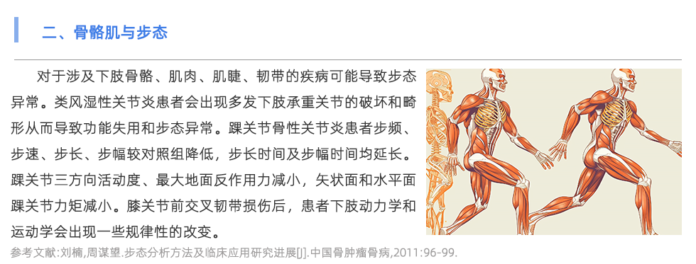 步态分析仪