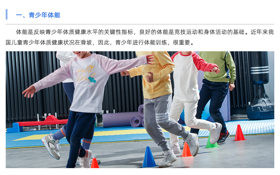 体能检测仪