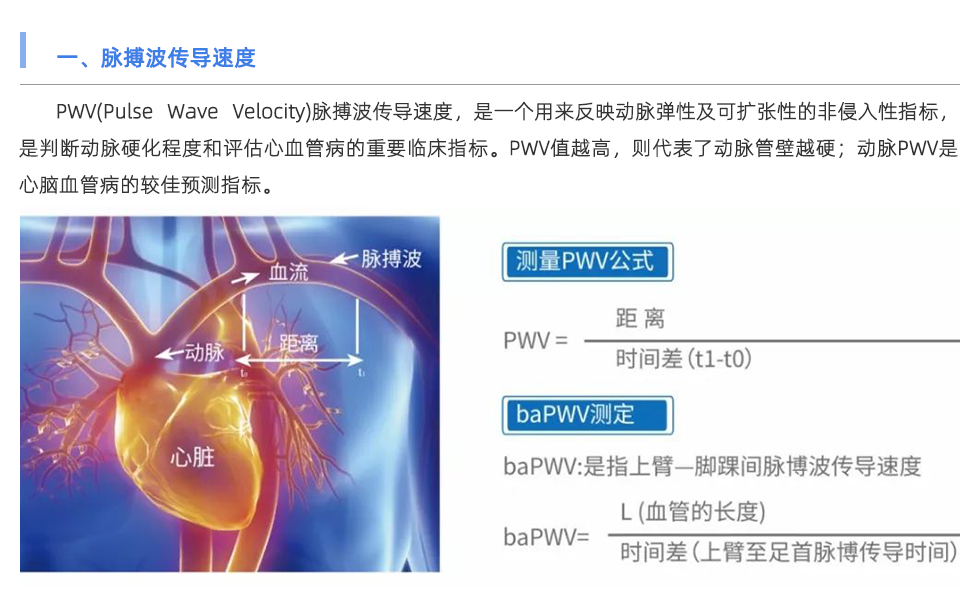 脉搏波速测定仪