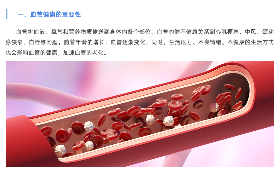 脉搏波速测定仪