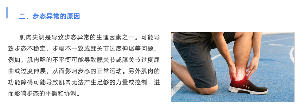 步态分析仪