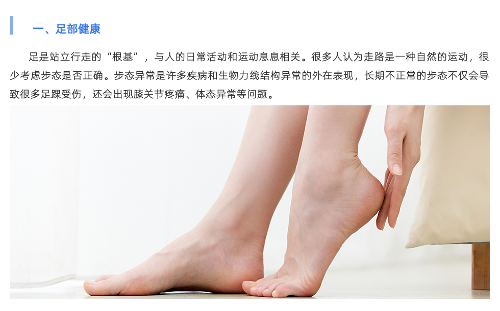 足底压力分析系统