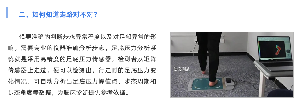 足底压力分析系统
