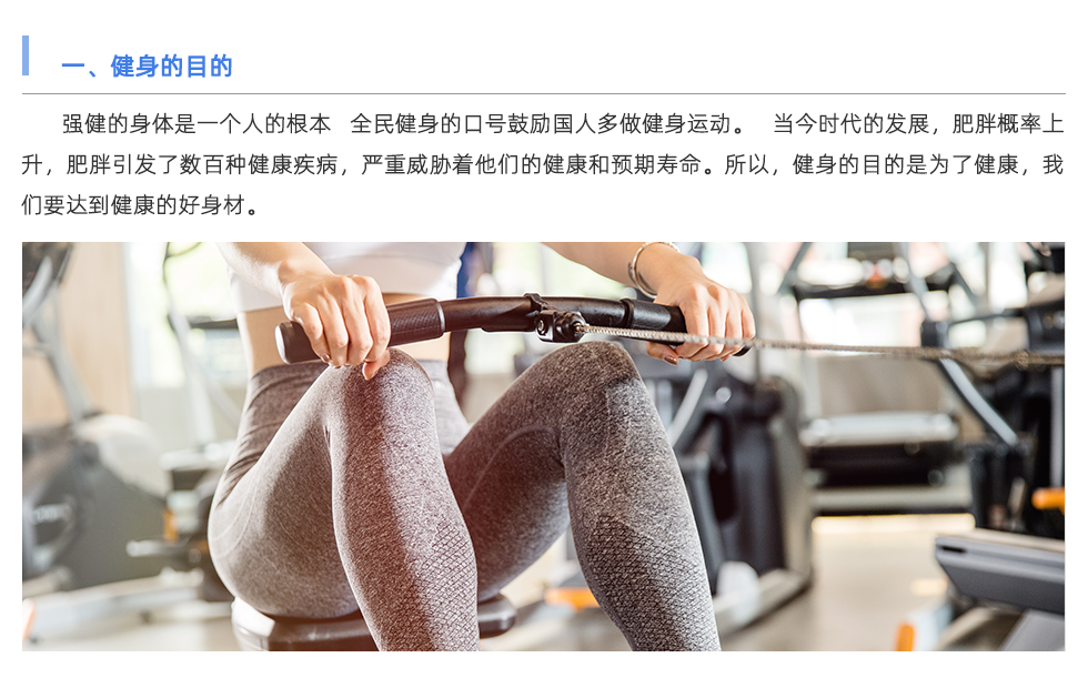 体能测试仪