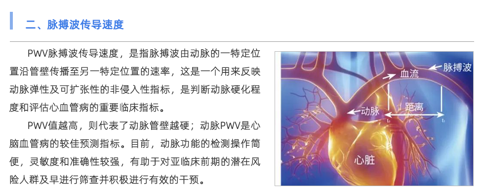脉搏波速测定仪