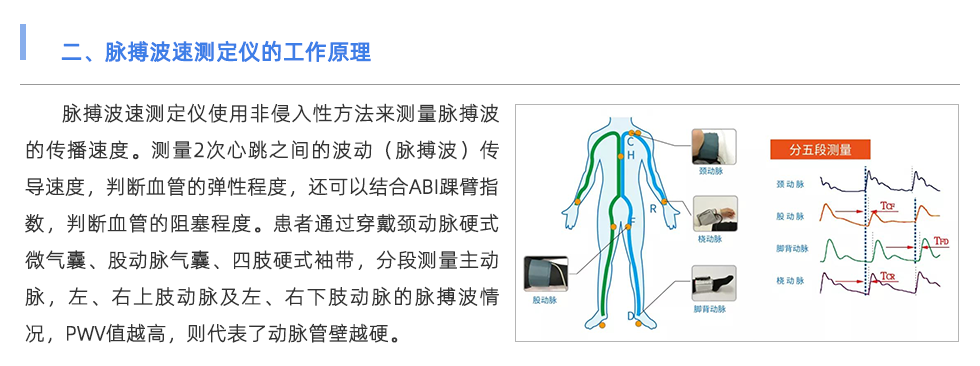 脉搏波速测定仪