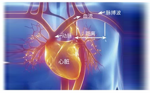 动脉硬化检测仪