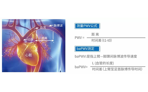 动脉硬化检测仪