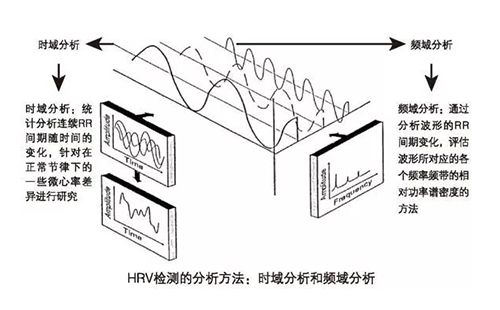 心率变异检测仪