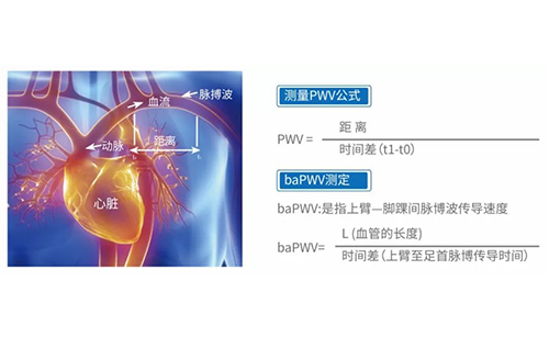 脉搏波速测定仪