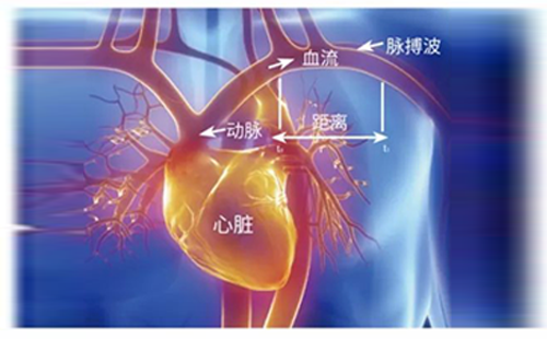 脉搏波速测定仪