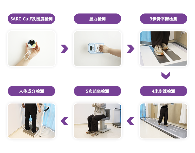 肌少症诊断与跌倒风险综合评估系统