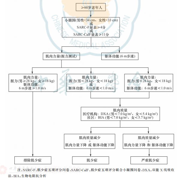 肌少症评估